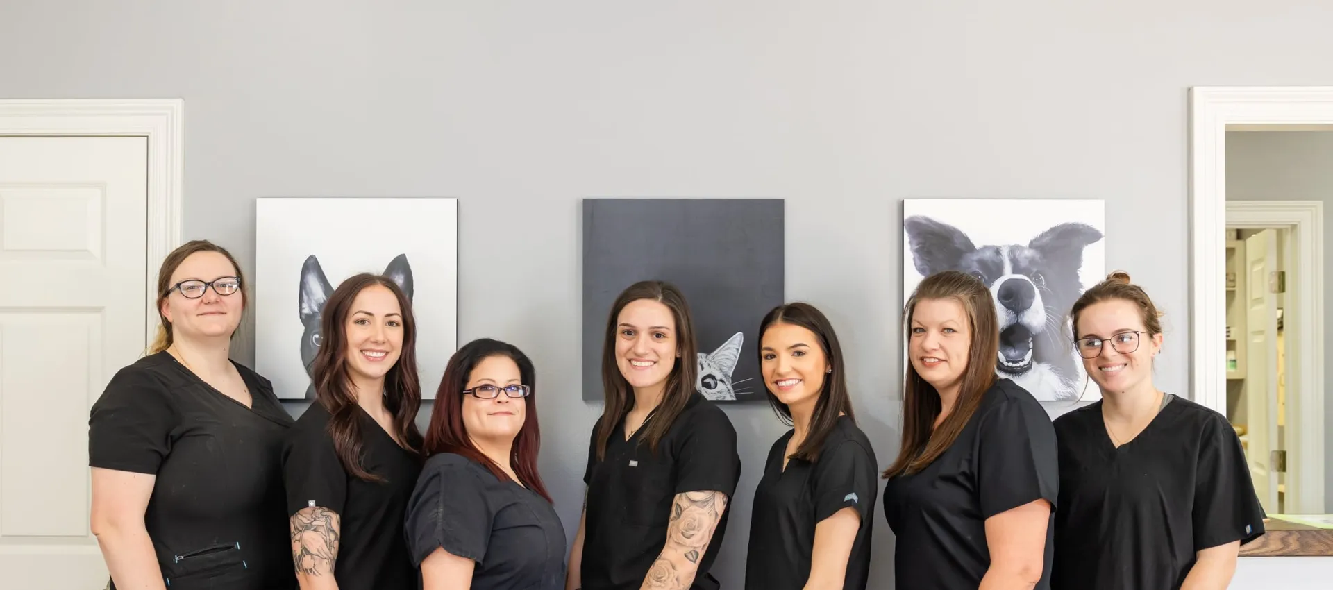 Caring for pets at Prairieville Animal Hospital