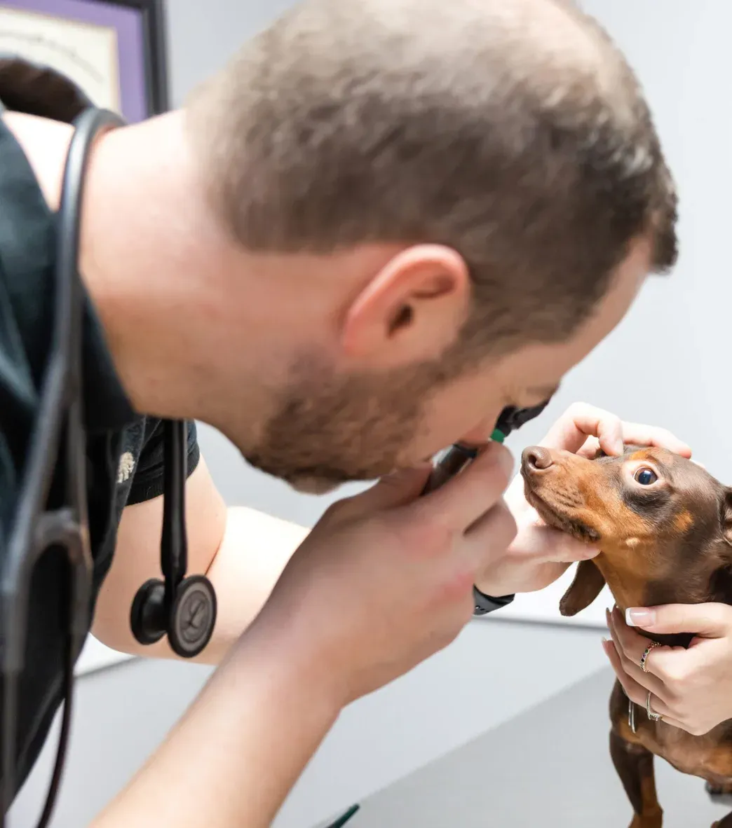 The team at Prairieville Animal Hospital