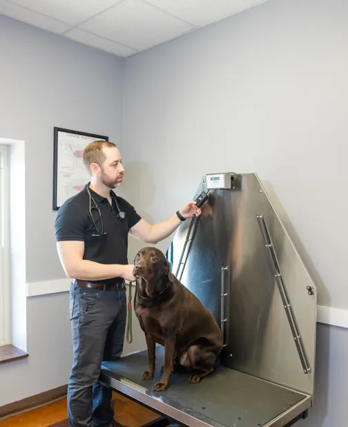 Veterinarian caring for a pet at Prairieville Animal Hospital