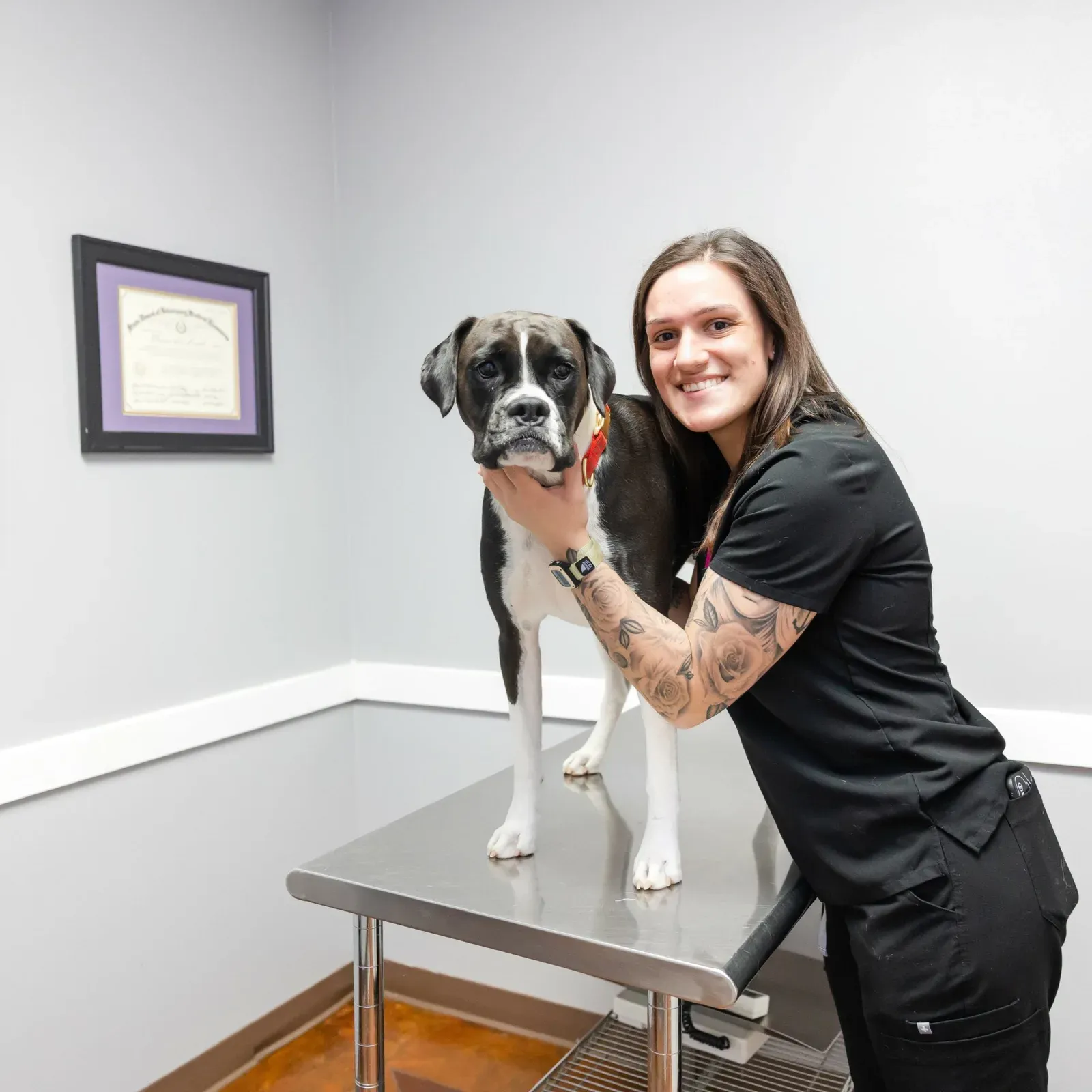 A smiling staff member poses beside a black and white dog on an exam table