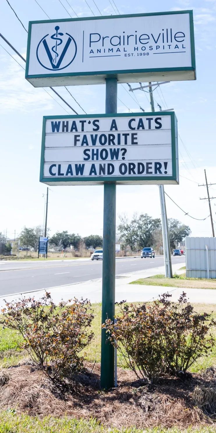 Roadside sign for Prairieville Animal Hospital with a marquee cat joke below